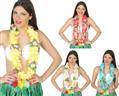 *Rab. colier hawaiien 4 ass. autre image 0
