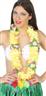 *Rab. colier hawaiien 4 ass. autre image 5