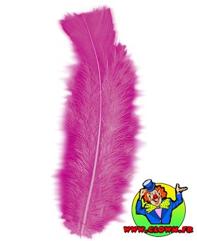 50 plumes fuschia