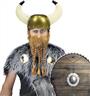 Barbe viking autre image 1