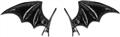Barrettes ailes noires x2 autre image 1