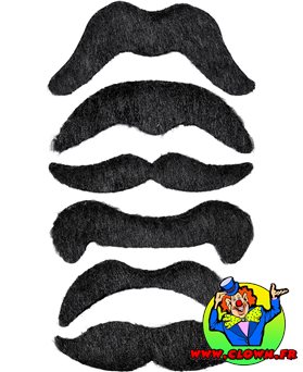 Blister de 6 Moustaches Assorties