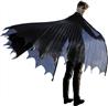 Capes ailes noires taille adulte autre image 1