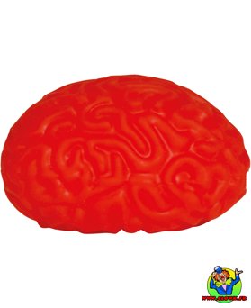 Cerveau écrasable - Vue 4