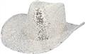 Chapeau Rodeo Party argent autre image 1