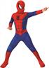 Déguisement Spiderman Enfant pour Fête et Carnaval autre image 0