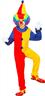 Déguisement de clown bicolore autre image 3