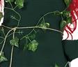 Déguisement de poison ivy batman autre image 4
