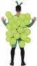 Déguisement de raisin autre image 1