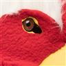 Demi-masque peluche Coq autre image 2