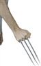 Griffe de wolverine autre image 0