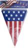 Guirlande 5m de 10 drapeaux USA autre image 1