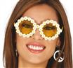 Lunettes des fleurs marguerites autre image 1
