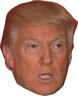 Masque de Donald Trump en Carton autre image 0