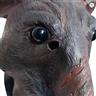 Masque de rat autre image 2