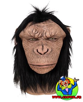 Masque intégral chimpanzé - adulte