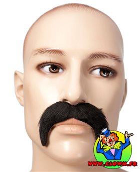 Moustache 1900 noire