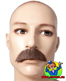 Moustache Dupont marron
