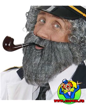 Moustache avec barbe grise