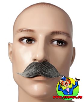 Moustache gentleman grise