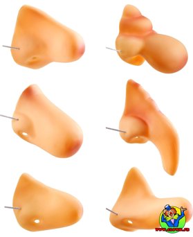 Nez 6 styles ass - Vue 1