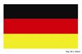 Pavillon drapeau Allemagne autre image 1