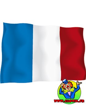 Pavillon drapeau France tissu