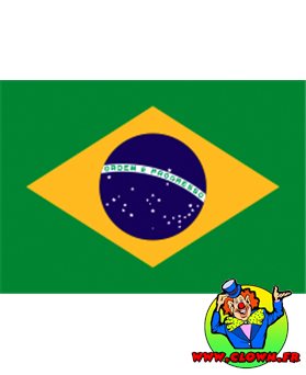 Pavillon drapeau brésil
