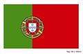 Pavillon drapeau portugal autre image 1
