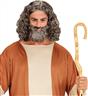 Perruque biblique avec barbe autre image 1