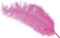 Plume autruche rose geant autre image 0