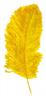 Plume d'autruche jaune autre image 0