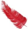 Plume d'autruche rouge autre image 2