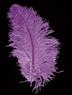Plume d'autruche violet autre image 0