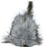 Rat gris autre image 1