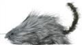 Rat gris autre image 2