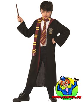 Robe avec accessoires Harry Potter