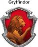 Robe de l'école Gryffindor (Harry Potter) autre image 2
