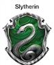 Robe de l'école Serpentin (Harry Potter) autre image 2