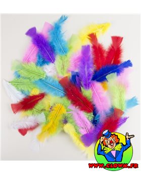 Sachet de 50 plumes multicolor