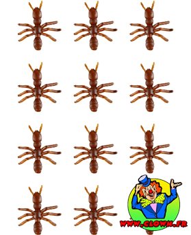 Set de 12 fourmis pour décoration Halloween