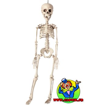Squelette à suspendre
