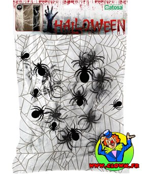 Toile d'araignée blanc avec araignées
