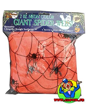 Toile d'araignée orange avec 2 araignées